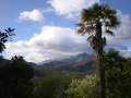 Vista del Aramo desde la casa