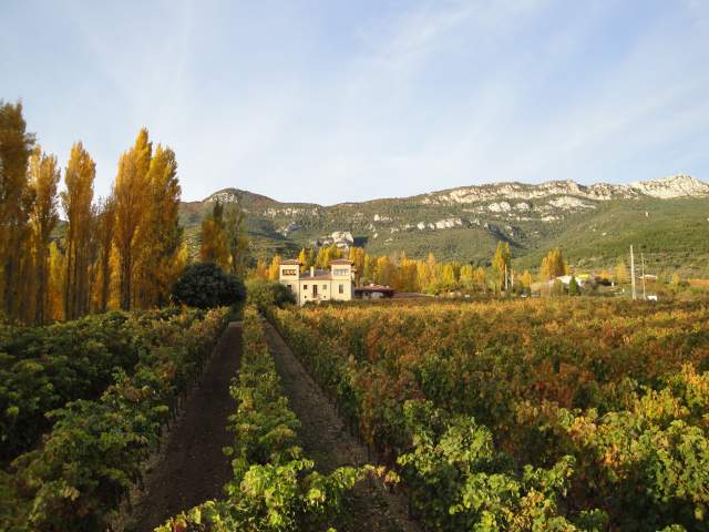 Hospedería del Vino