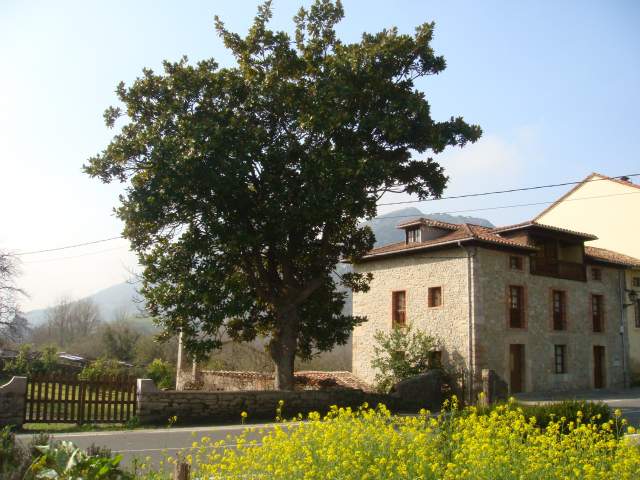 Casas de Aldea la Roza